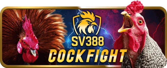 Bài Cào - Tựa game bài online hấp dẫn tại ee88 link đăng nhập